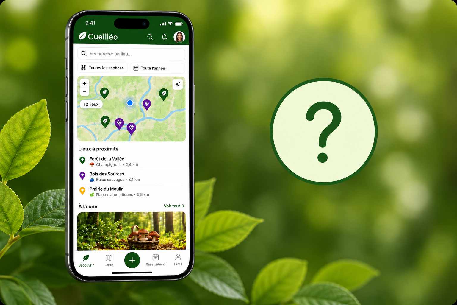 Cueilléo sur smartphone