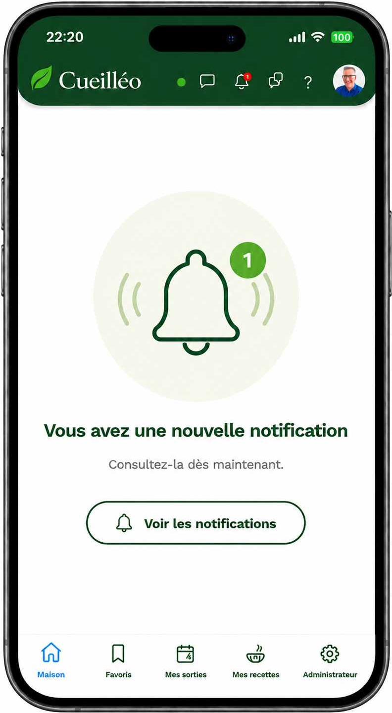 Notifications